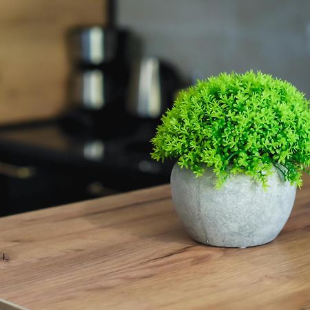 Apartament Modernissimo - Urban Perfection Jassy Zewnętrze zdjęcie