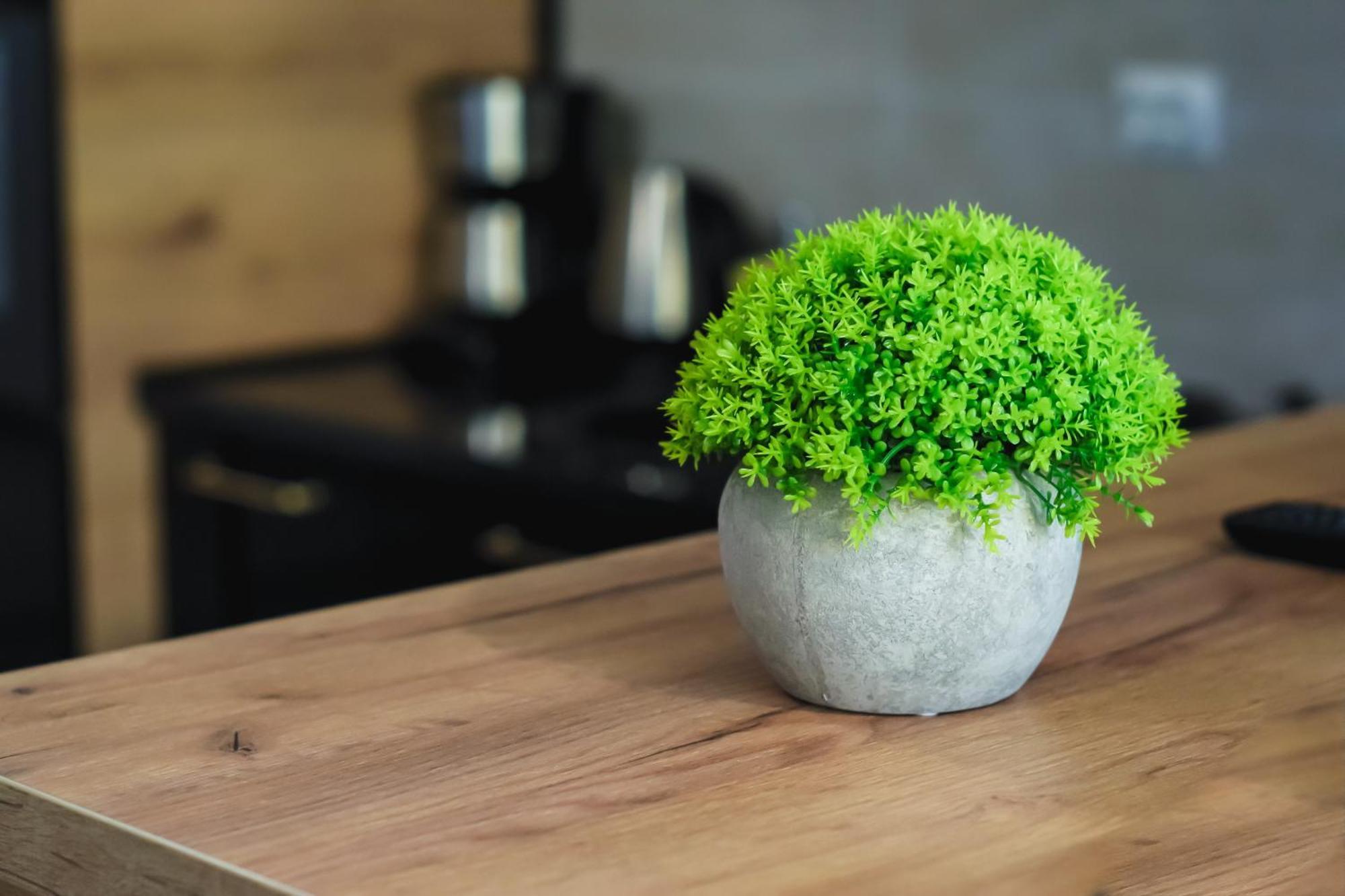 Apartament Modernissimo - Urban Perfection Jassy Zewnętrze zdjęcie